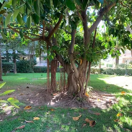 Parque Ii