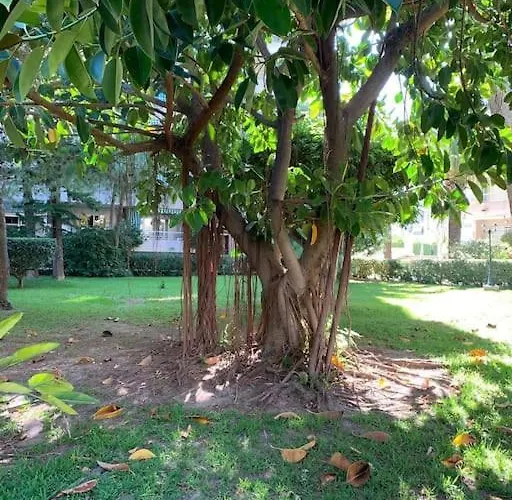 Parque Ii